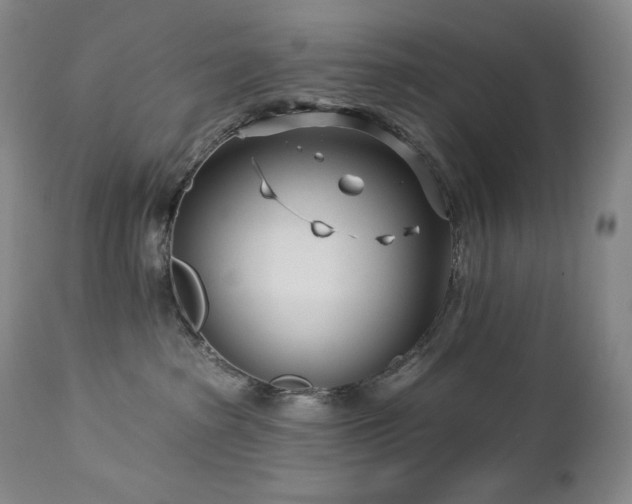 X0000113120285200908281445