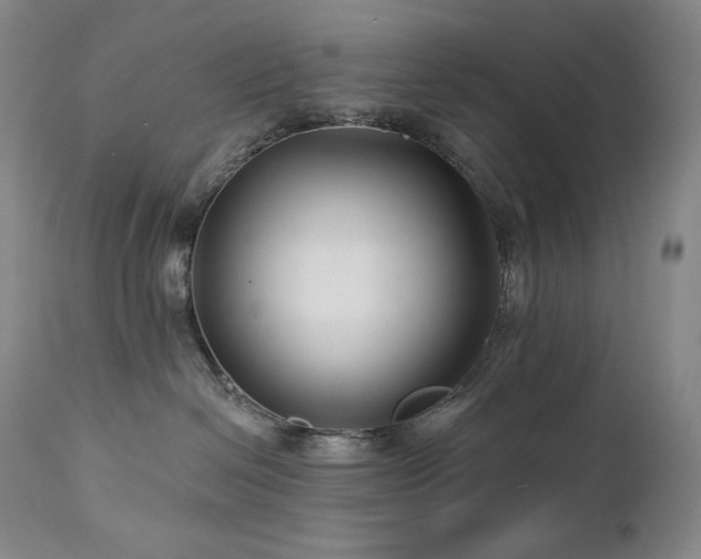 X0000113120286200908281445