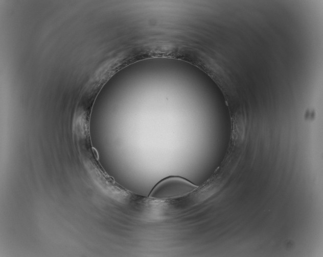 X0000113120287200908281445