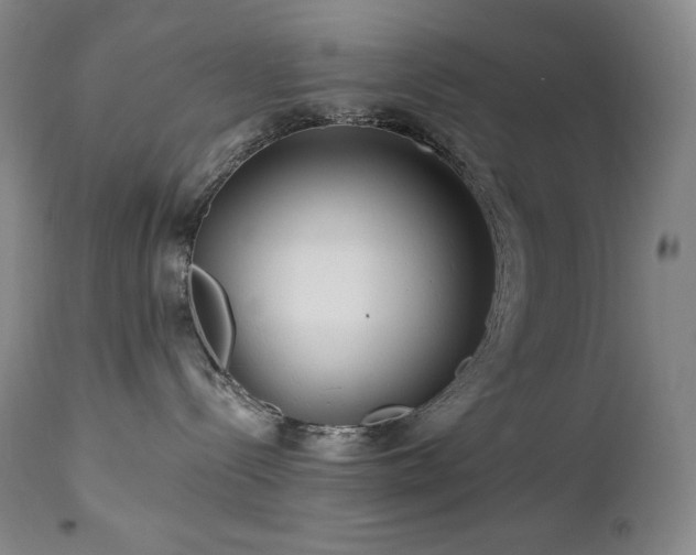 X0000113120288200908281445