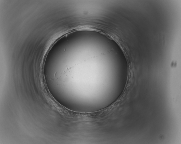 X0000113120289200908281444