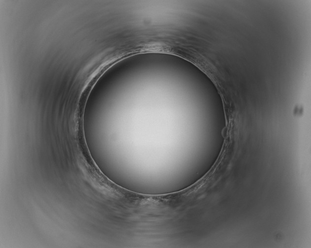 X0000113120290200908281444