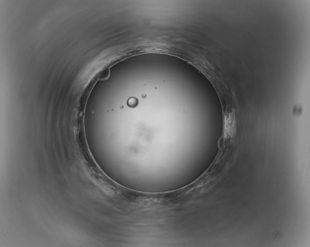 X0000113120291200908281444