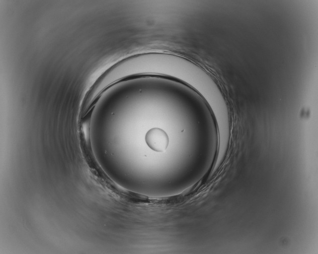 X0000113120292200908281444