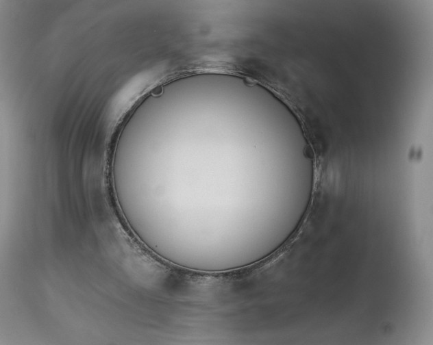 X0000113120293200908281444