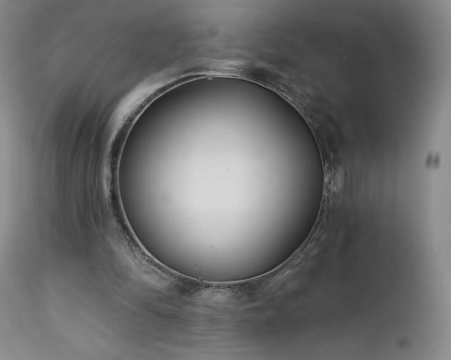 X0000113120294200908281444