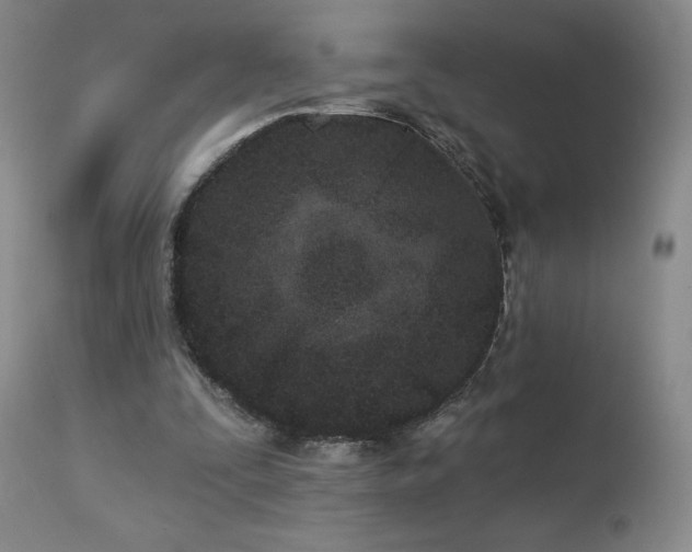 X0000113120295200908281444