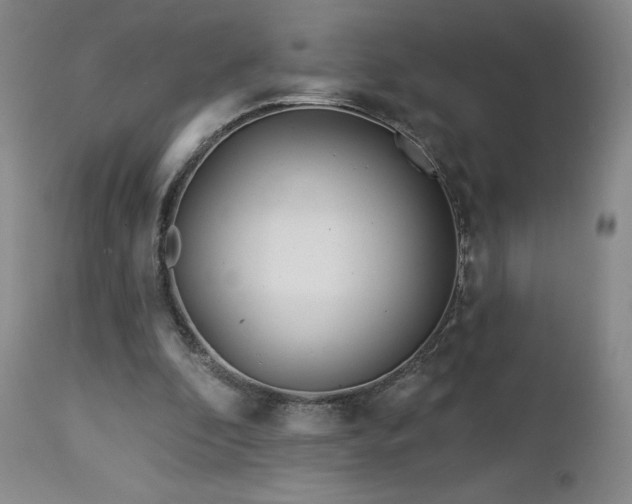 X0000113120296200908281444