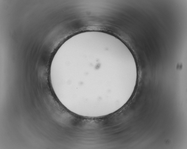 X0000113120297200908281444