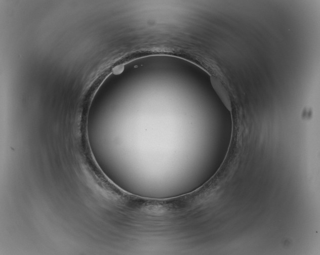 X0000113120299200908281444