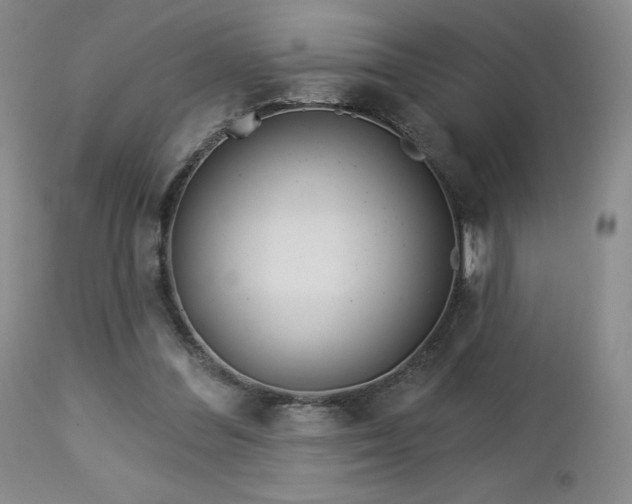 X0000113120300200908281444