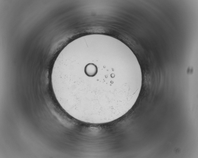 X0000113120302200908281444