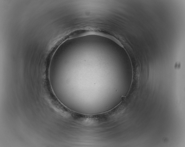 X0000113120303200908281444