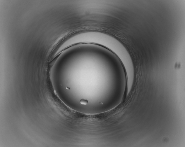 X0000113120304200908281444