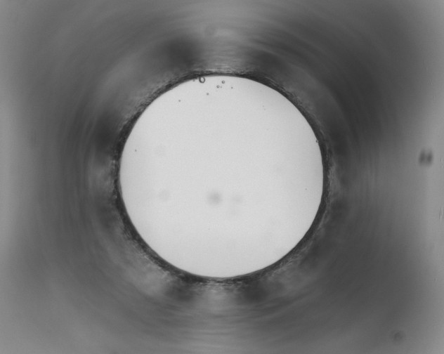 X0000113120305200908281444