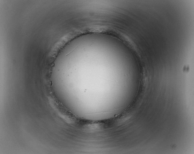 X0000113120307200908281444