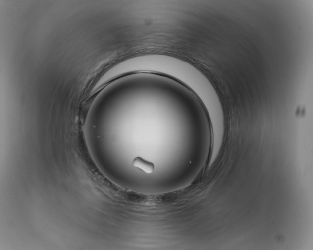 X0000113120308200908281444