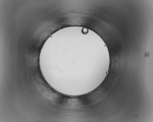 X0000113120309200908281444