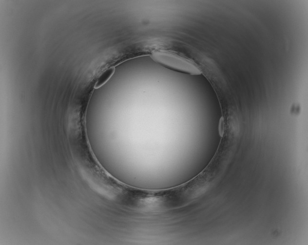 X0000113120312200908281444