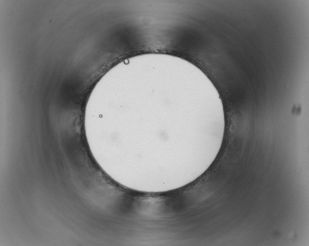 X0000113120313200908281444