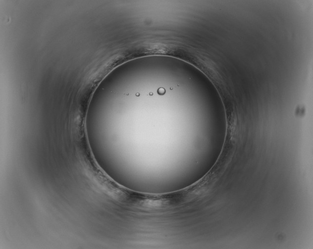 X0000113120314200908281444