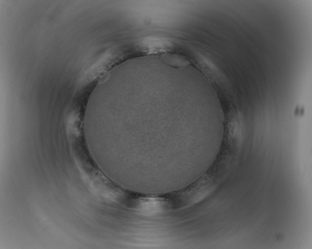 X0000113120316200908281444