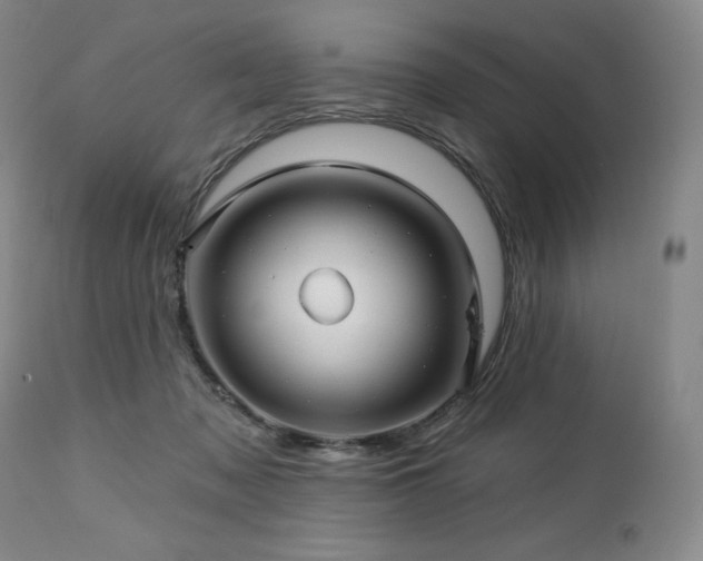 X0000113120317200908281444