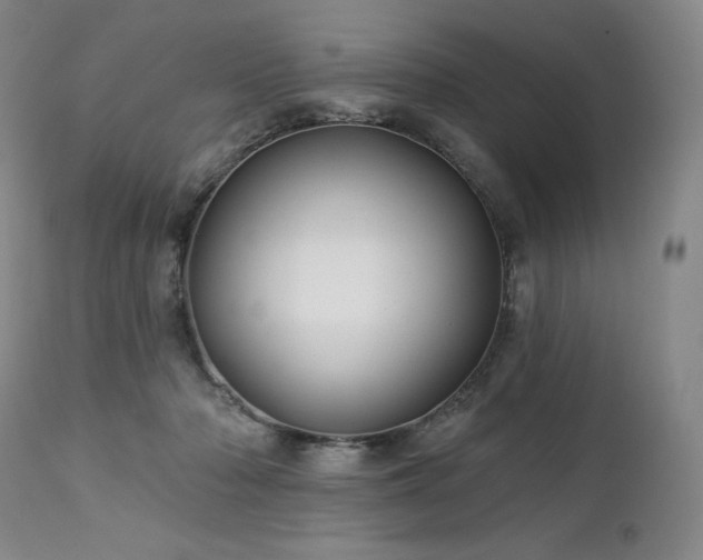 X0000113120318200908281444