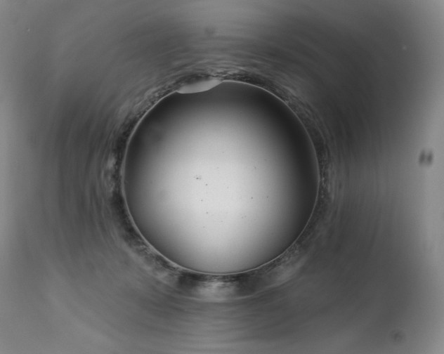 X0000113120319200908281444