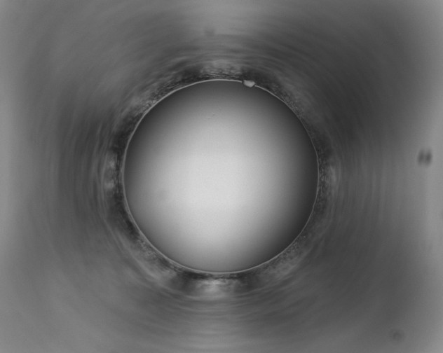 X0000113120323200908281444