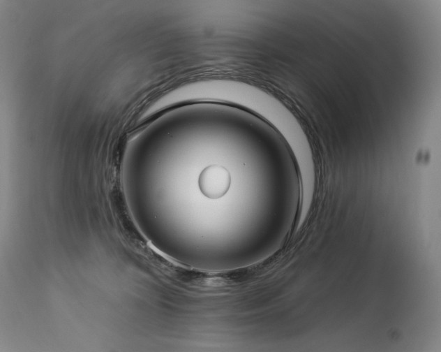 X0000113120324200908281444