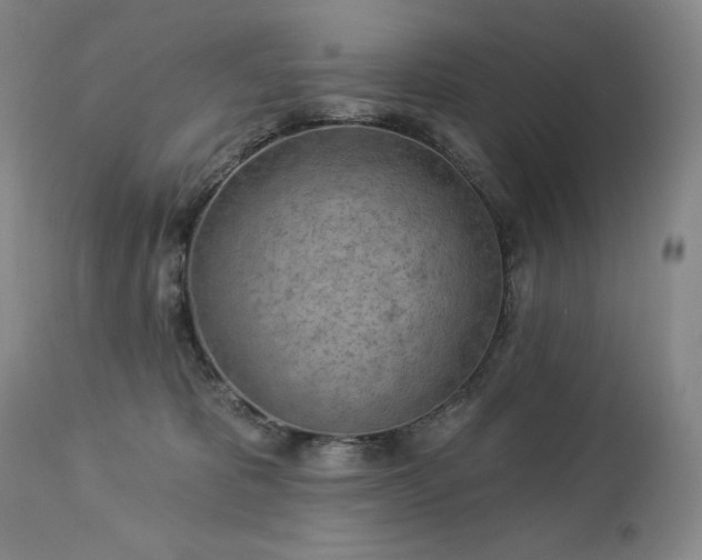 X0000113120325200908281444