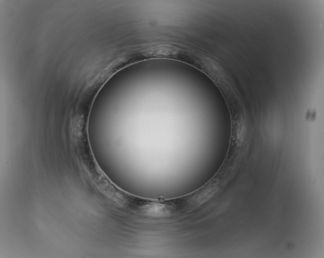 X0000113120326200908281444