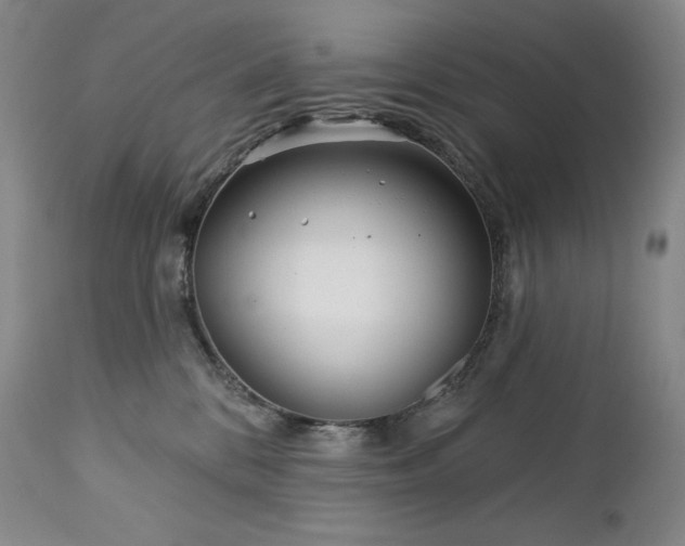 X0000113120328200908281444