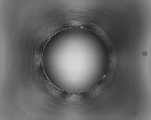 X0000113120329200908281444