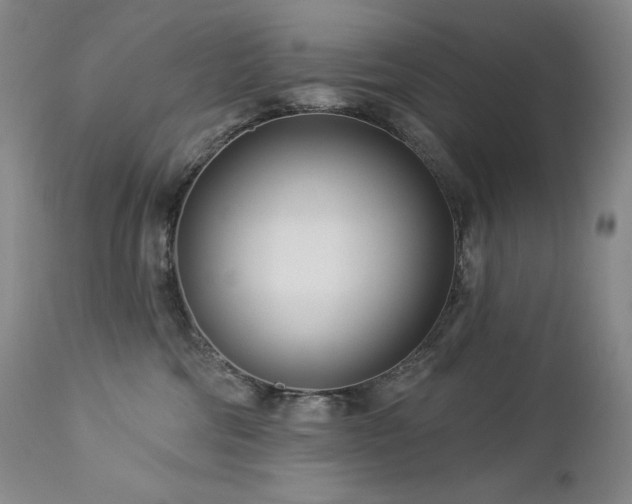 X0000113120330200908281444