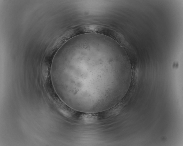 X0000113120331200908281444