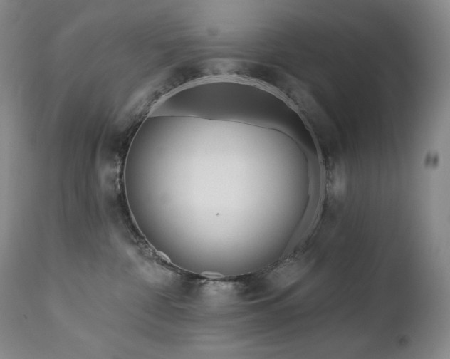 X0000113120332200908281443