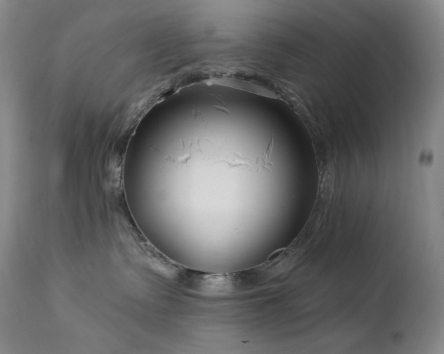 X0000113120335200908281443