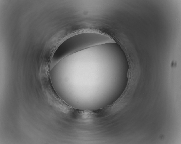 X0000113120336200908281443