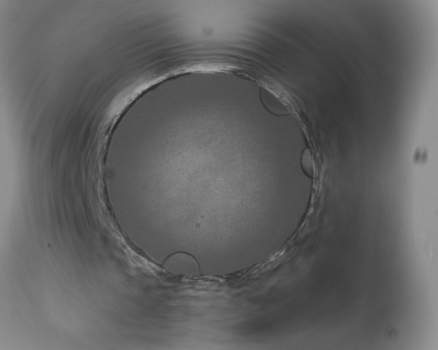 X0000113120337200908281443