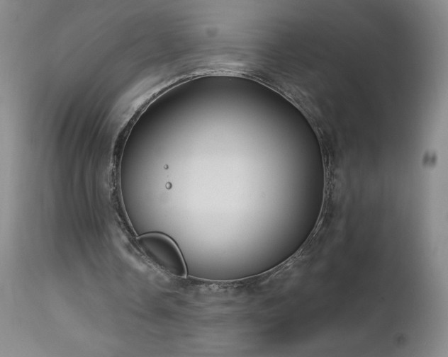 X0000113120338200908281443