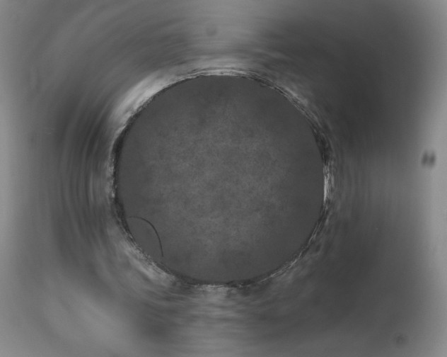 X0000113120339200908281443