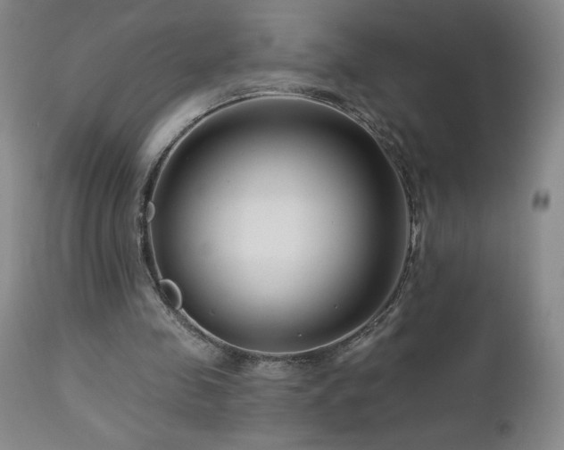 X0000113120341200908281443