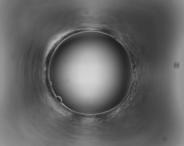 X0000113120342200908281443