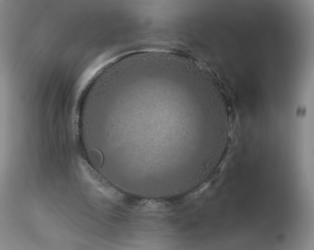 X0000113120343200908281443