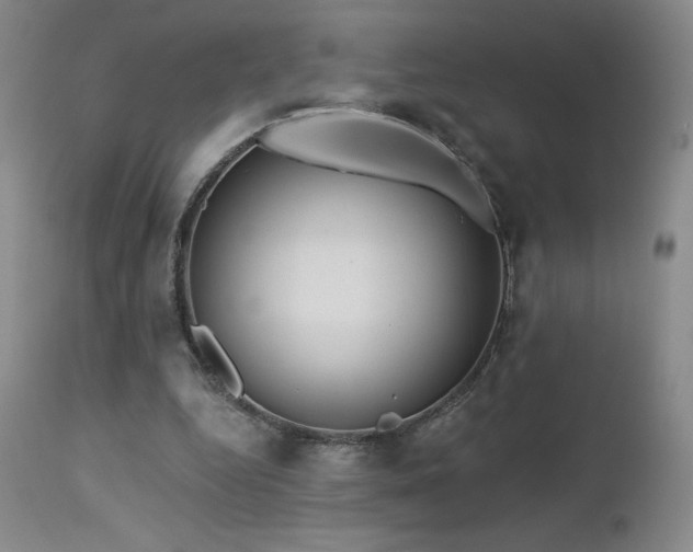 X0000113120344200908281443