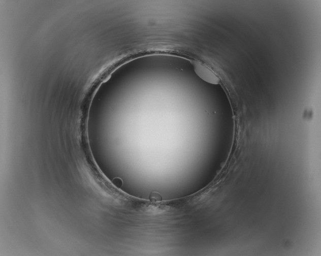 X0000113120346200908281443