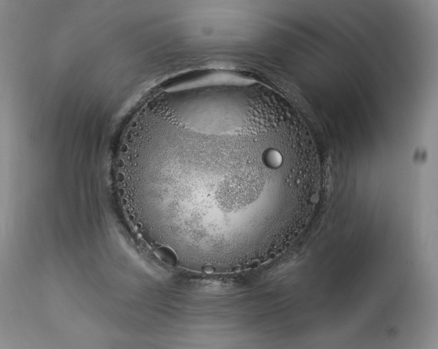 X0000113120347200908281443