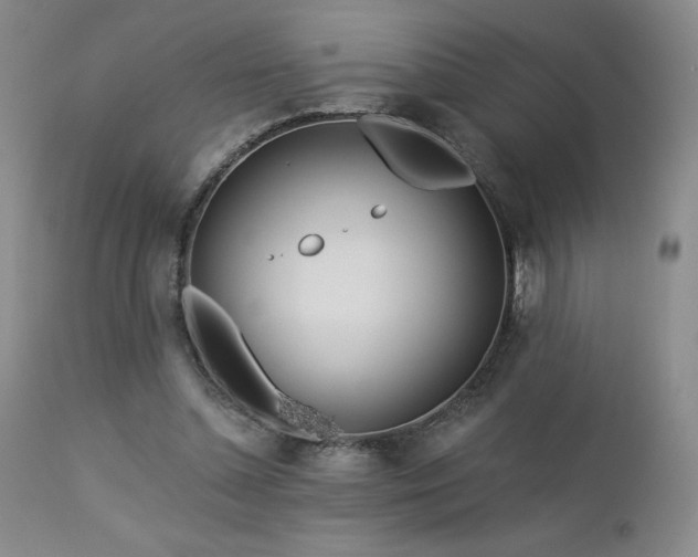 X0000113120348200908281443